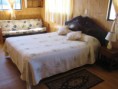 /album/galeria/a193270-132705680133091-8195137-o-jpg1/